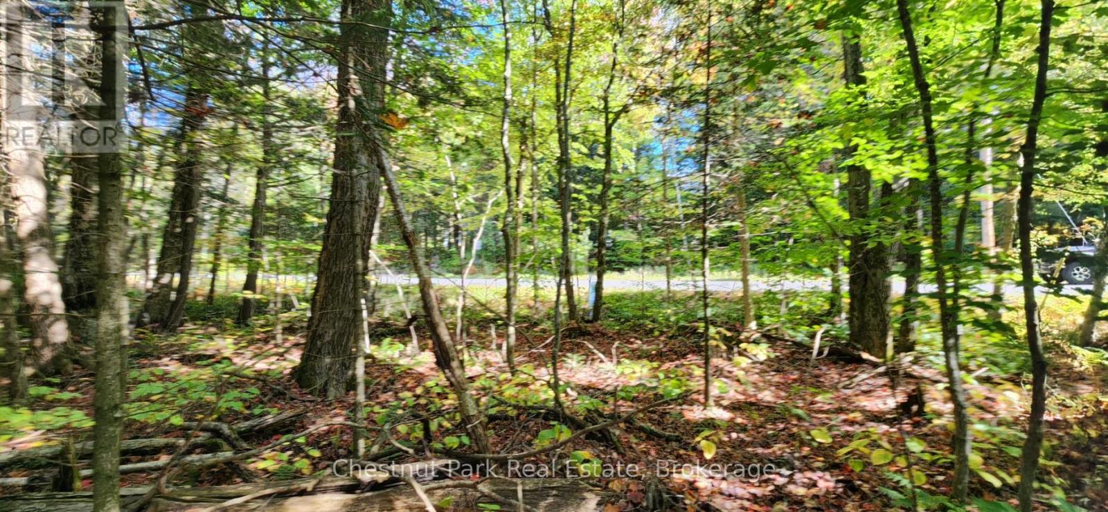 0 Skyline Drive, Armour, Ontario  P0A 1C0 - Photo 3 - X12184624