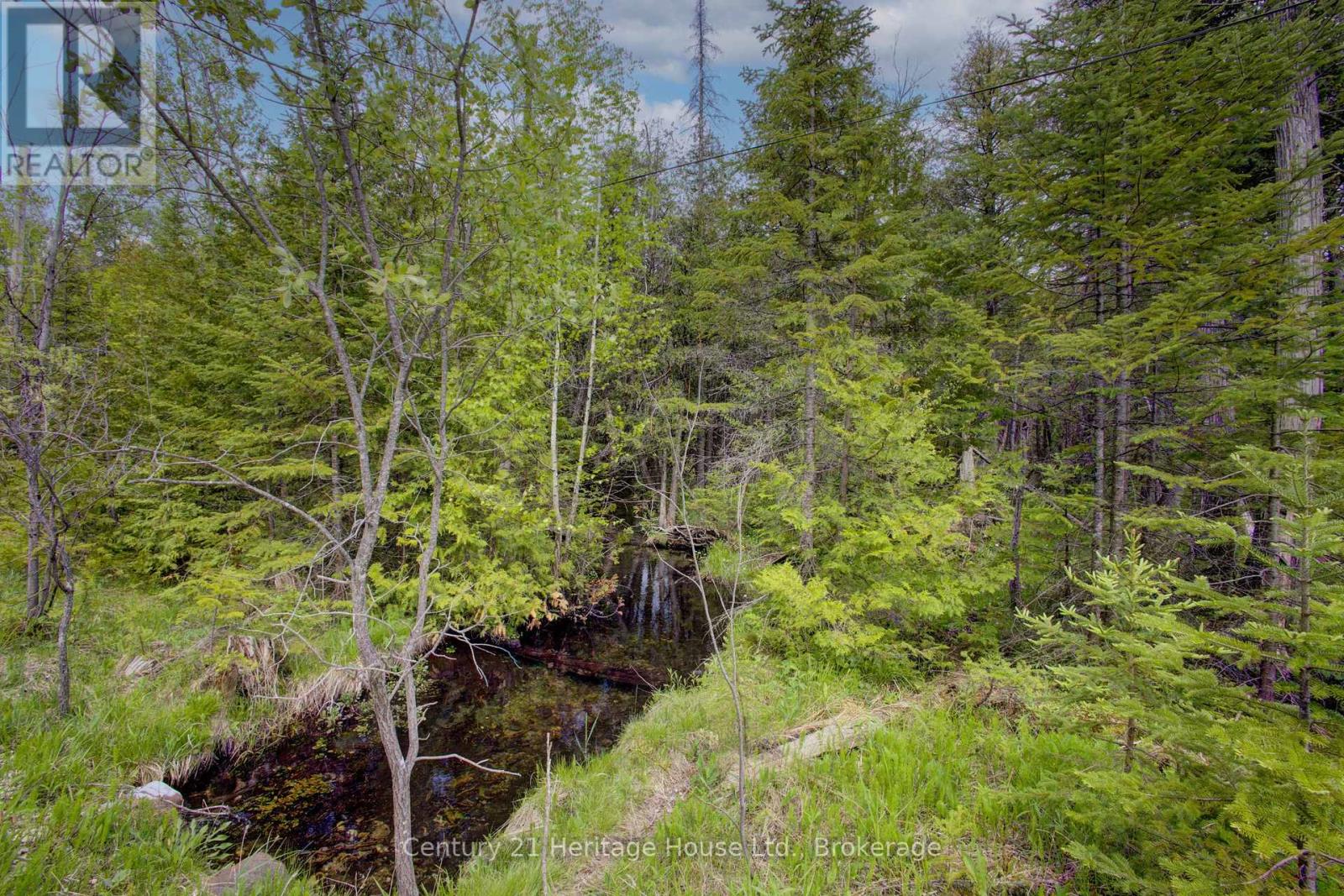 423080 Rocky Saugeen Road, West Grey, Ontario  N0G 1R0 - Photo 46 - X12184809