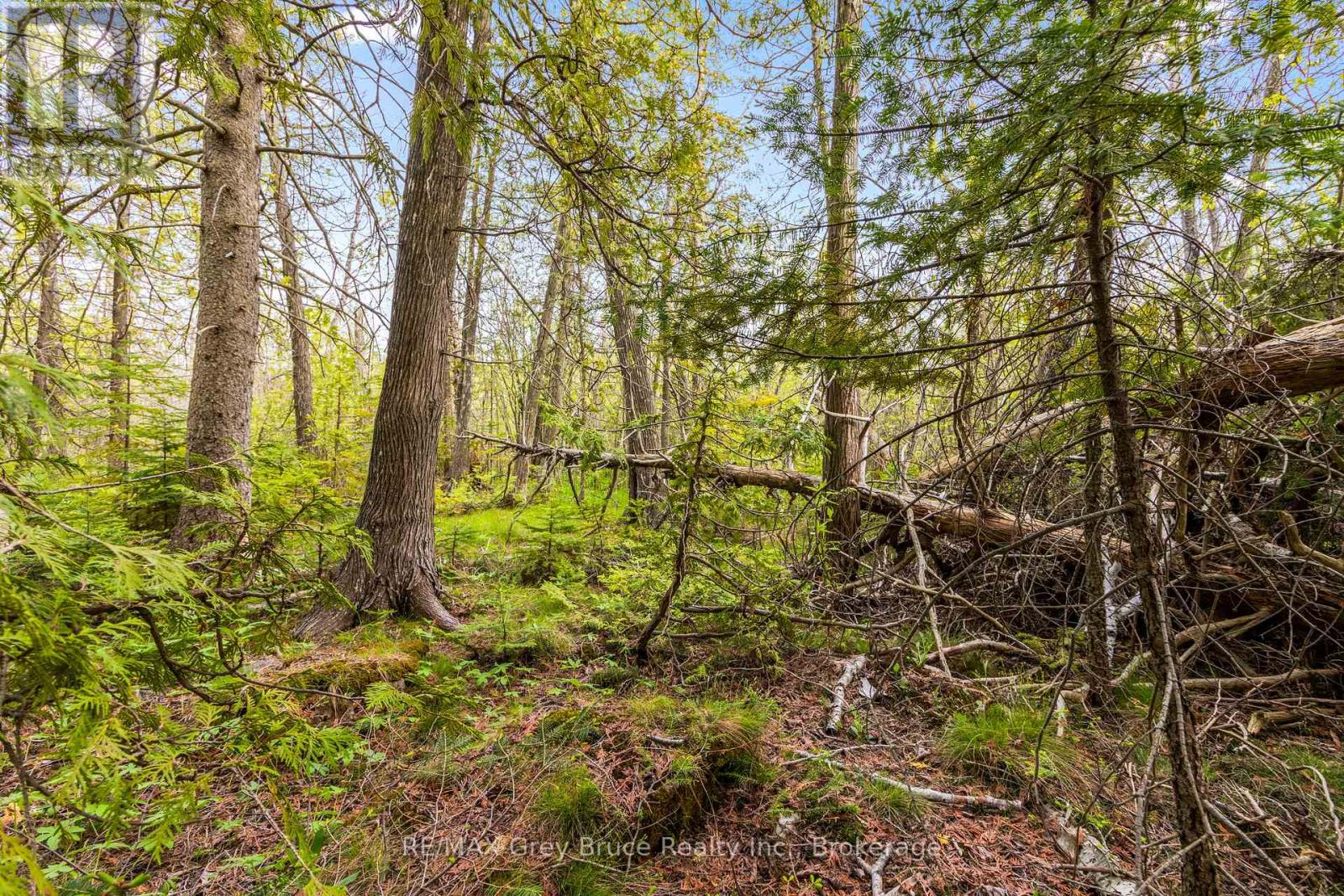 Lots 33 & 34 Big Tub Road, Northern Bruce Peninsula, Ontario  N0H 2R0 - Photo 11 - X12185053