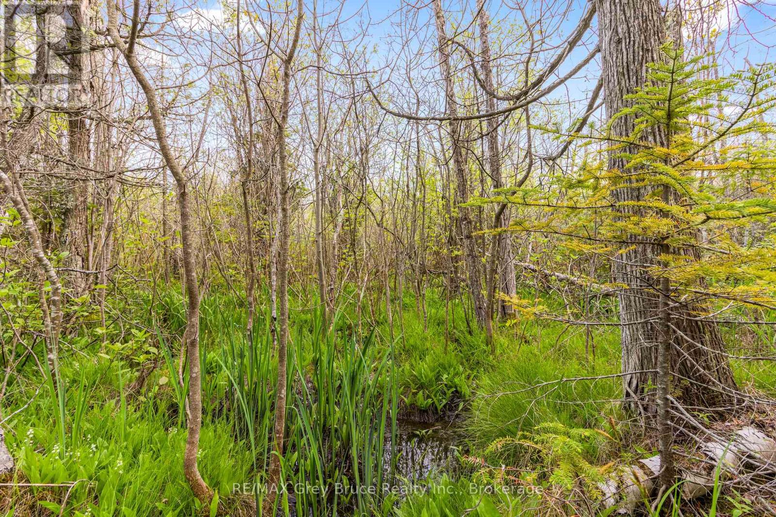 Lots 33 & 34 Big Tub Road, Northern Bruce Peninsula, Ontario  N0H 2R0 - Photo 13 - X12185053