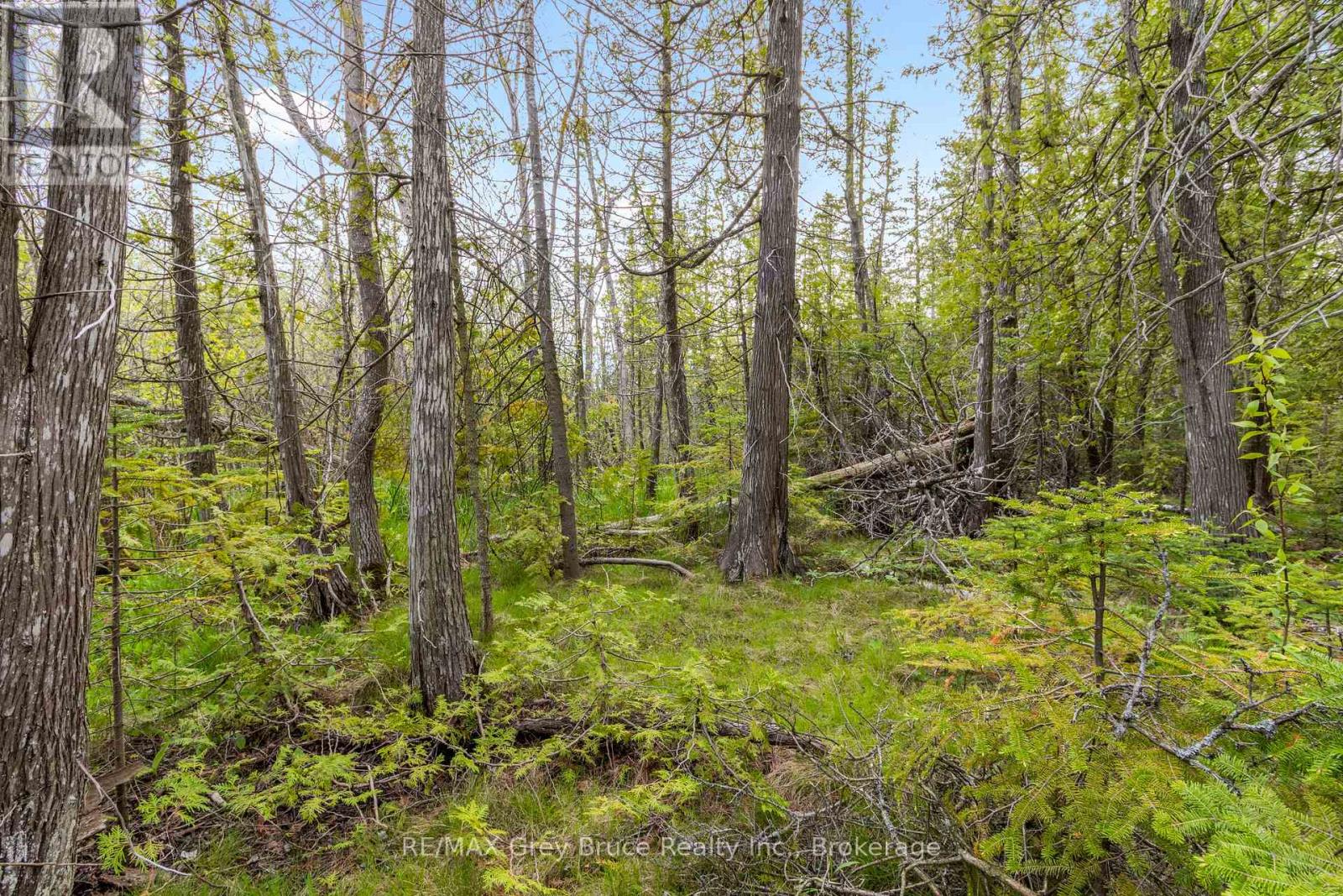 Lots 33 & 34 Big Tub Road, Northern Bruce Peninsula, Ontario  N0H 2R0 - Photo 14 - X12185053