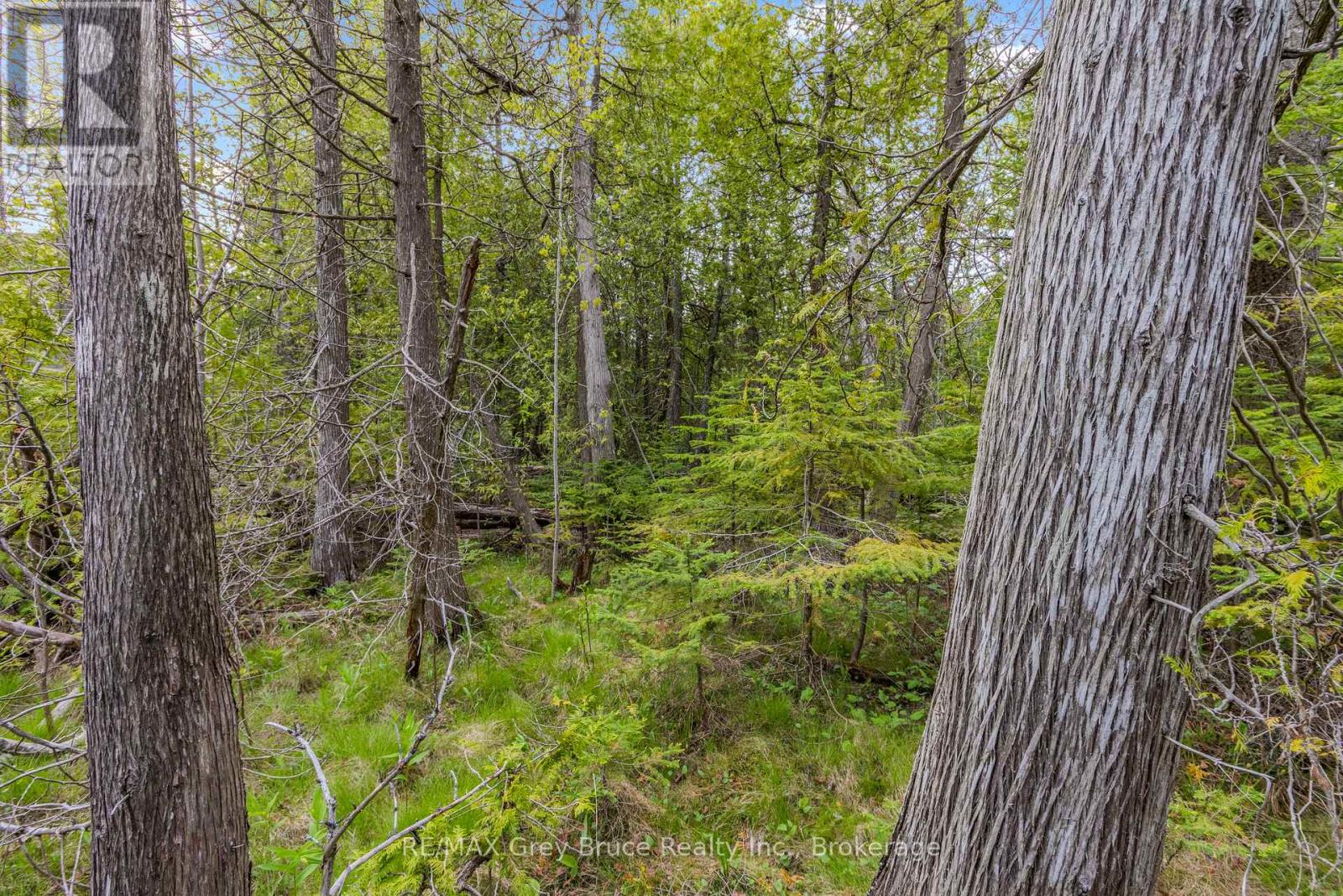 Lots 33 & 34 Big Tub Road, Northern Bruce Peninsula, Ontario  N0H 2R0 - Photo 16 - X12185053