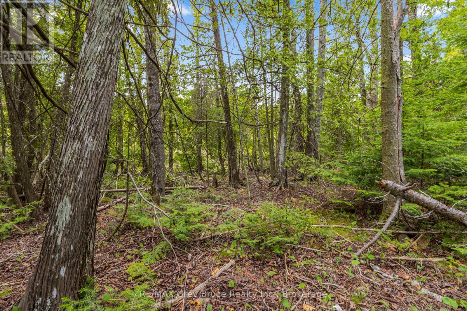 Lots 33 & 34 Big Tub Road, Northern Bruce Peninsula, Ontario  N0H 2R0 - Photo 17 - X12185053