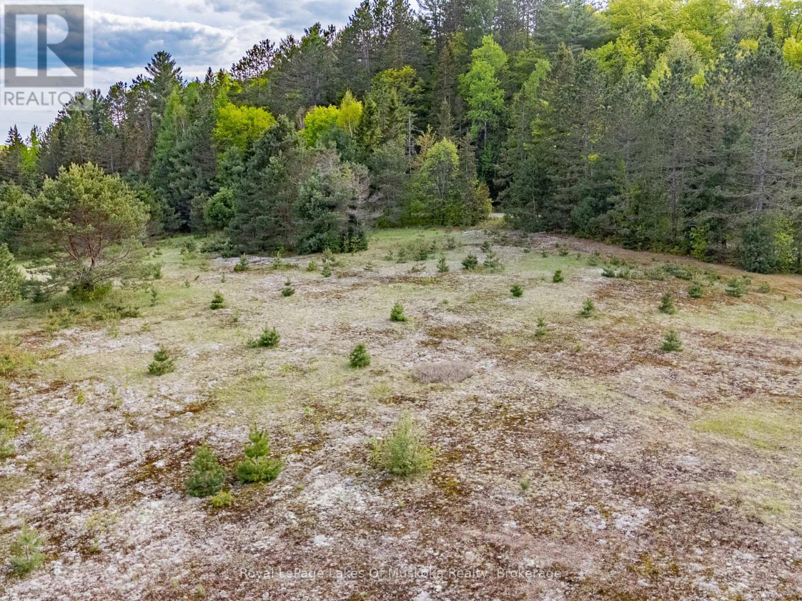 397 Relative Road, Armour, Ontario  P0A 1C0 - Photo 7 - X12185896