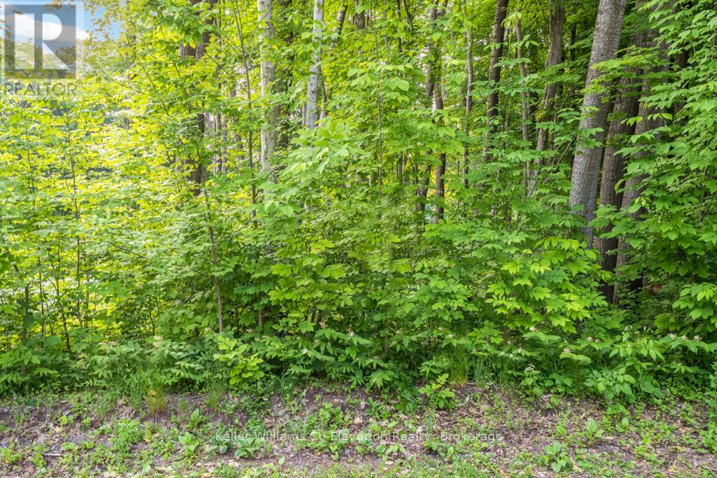 Lot 5 Fairlawn Grove, Tiny, Ontario  L9M 0B5 - Photo 6 - S12185939