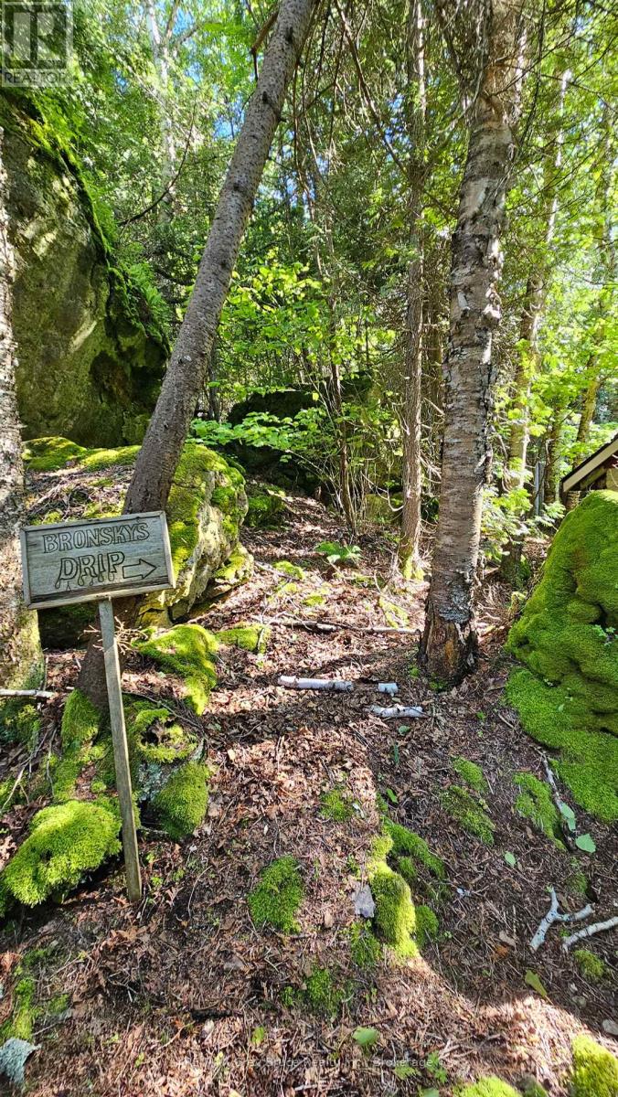 130 South Shore Road, Northern Bruce Peninsula, Ontario  N0H 1W0 - Photo 32 - X12186303
