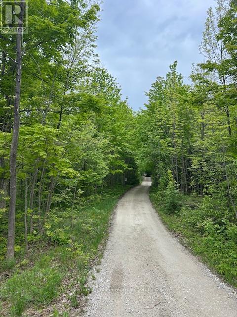 204495 Highway 26, Meaford, Ontario  N4K 5W4 - Photo 6 - X12186605