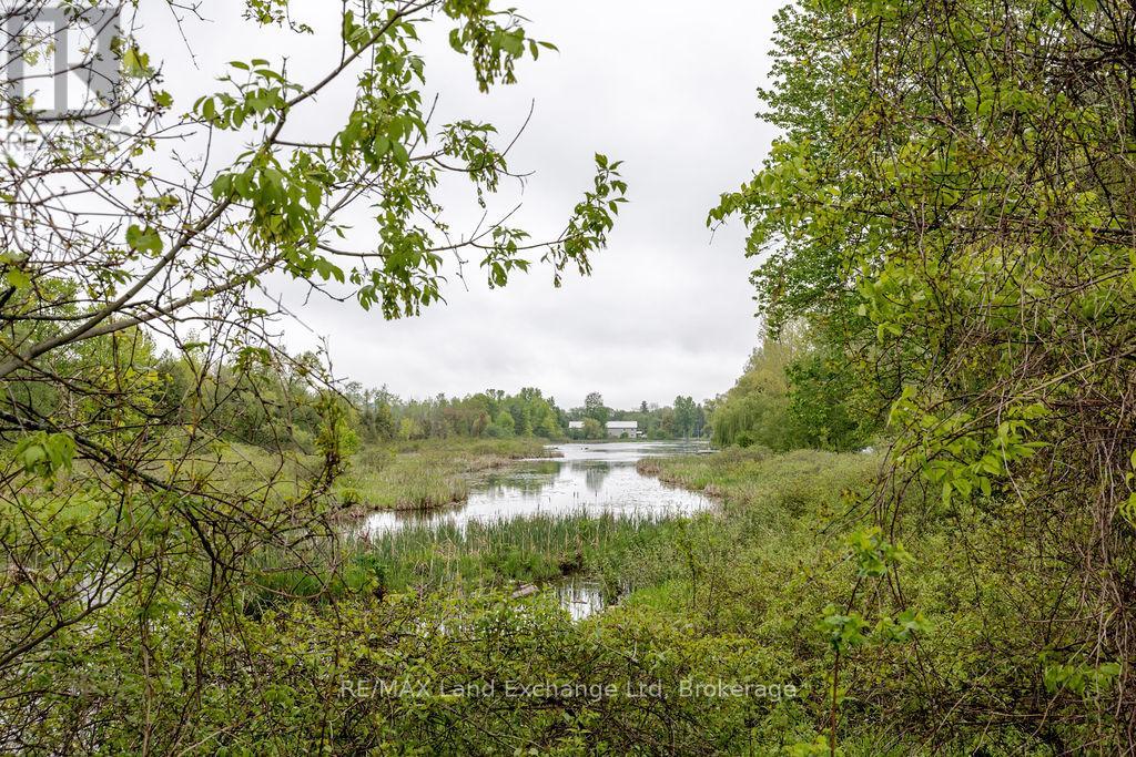 463 Wolsley Street, Huron-Kinloss, Ontario  N0G 2H0 - Photo 34 - X12186780