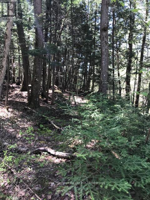 10 Parker Bay Road, Whitestone, Ontario  P0G 0G0 - Photo 2 - X12187098
