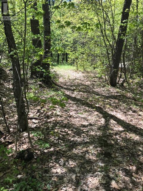 10 Parker Bay Road, Whitestone, Ontario  P0G 0G0 - Photo 3 - X12187098
