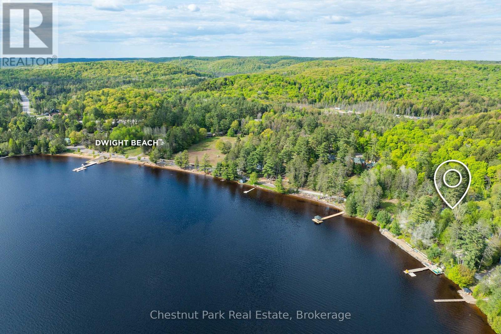 1091 Dwight Beach Road, Lake Of Bays, Ontario  P0A 1H0 - Photo 6 - X12187940