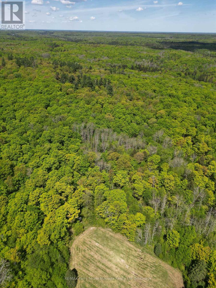 791 Clear Lake Road, Parry Sound Remote Area, Ontario  P0H 1A0 - Photo 11 - X12188085