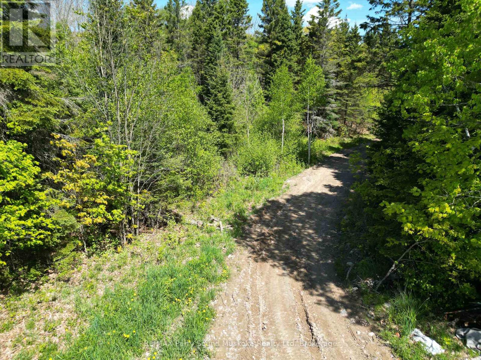791 Clear Lake Road, Parry Sound Remote Area, Ontario  P0H 1A0 - Photo 4 - X12188085