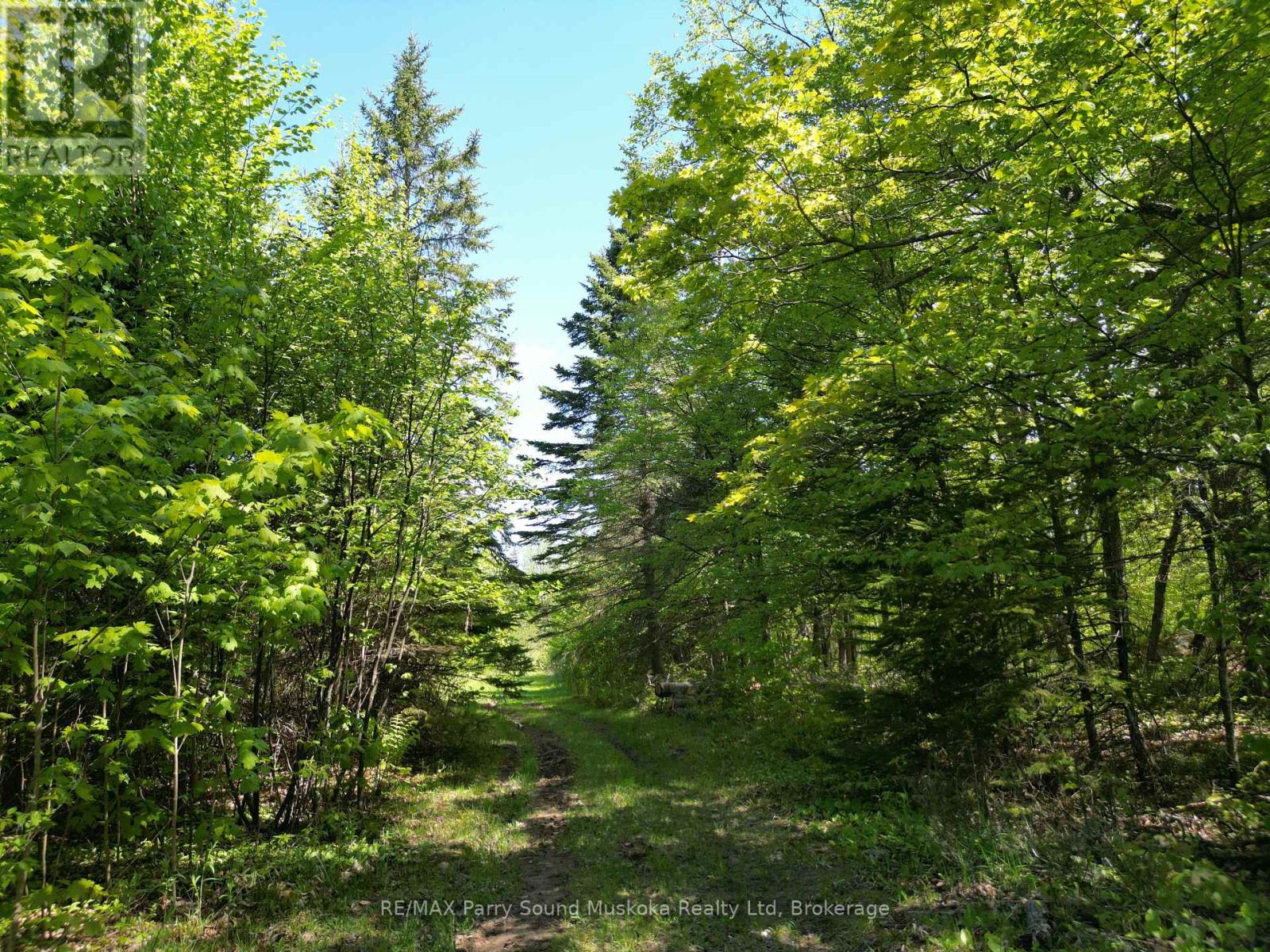 791 Clear Lake Road, Parry Sound Remote Area, Ontario  P0H 1A0 - Photo 7 - X12188085