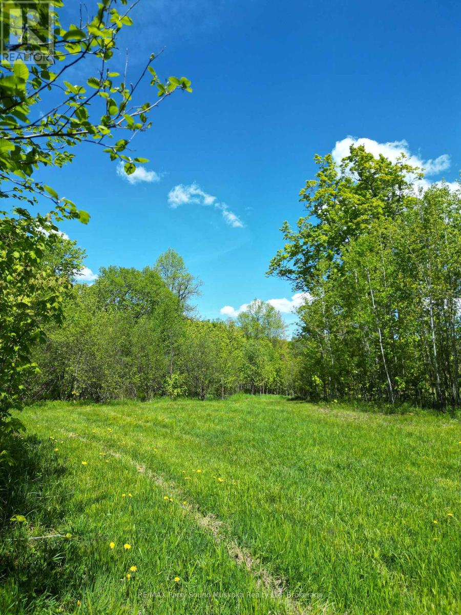 791 Clear Lake Road, Parry Sound Remote Area, Ontario  P0H 1A0 - Photo 8 - X12188085
