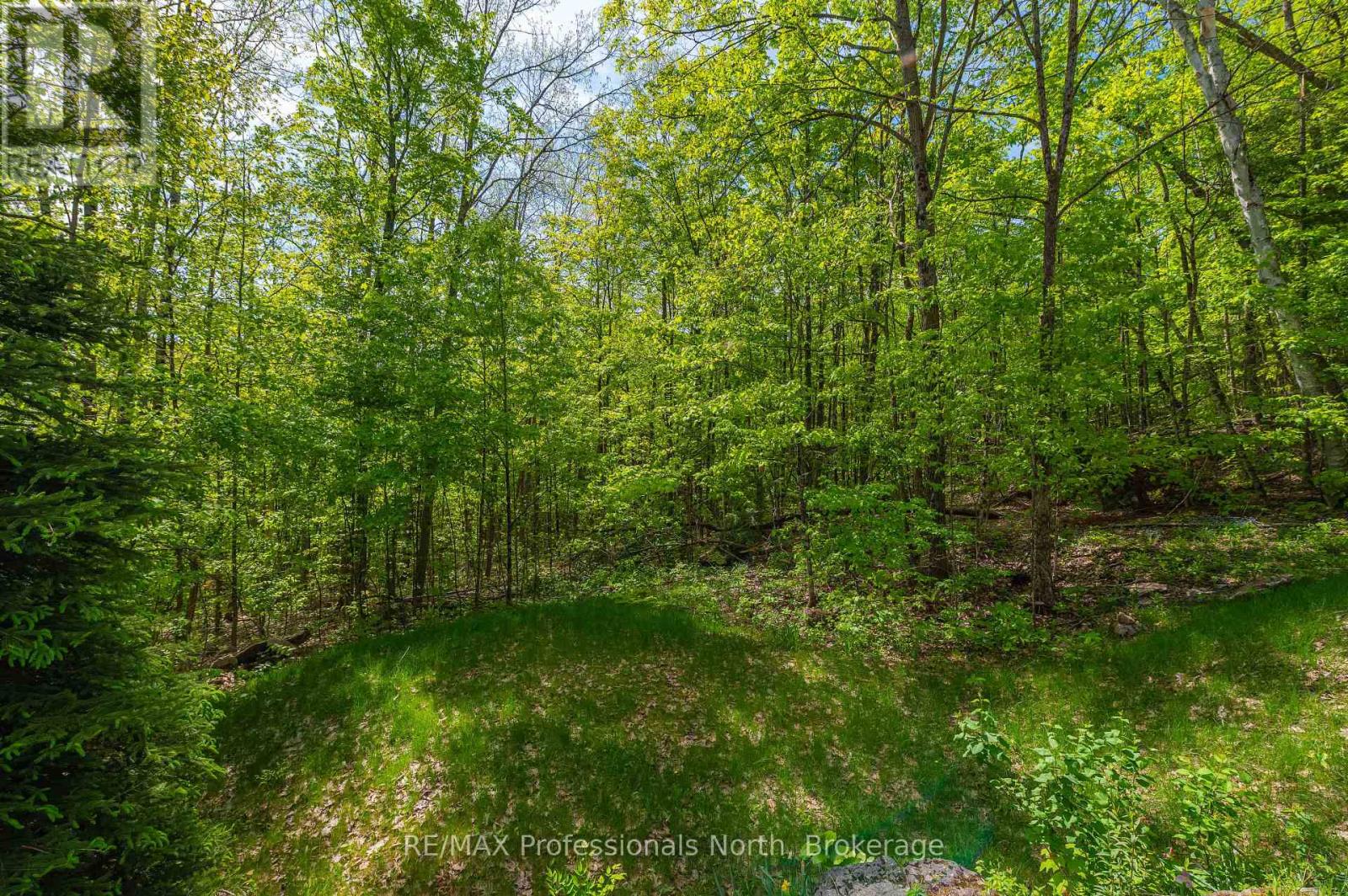 1005 Learners Lane, Minden Hills, Ontario  K0M 2K0 - Photo 21 - X12188433