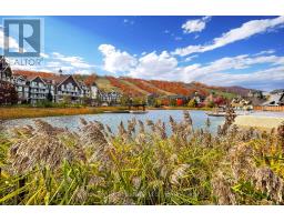 303 - 220 GORD CANNING DRIVE, Blue Mountains, Ontario