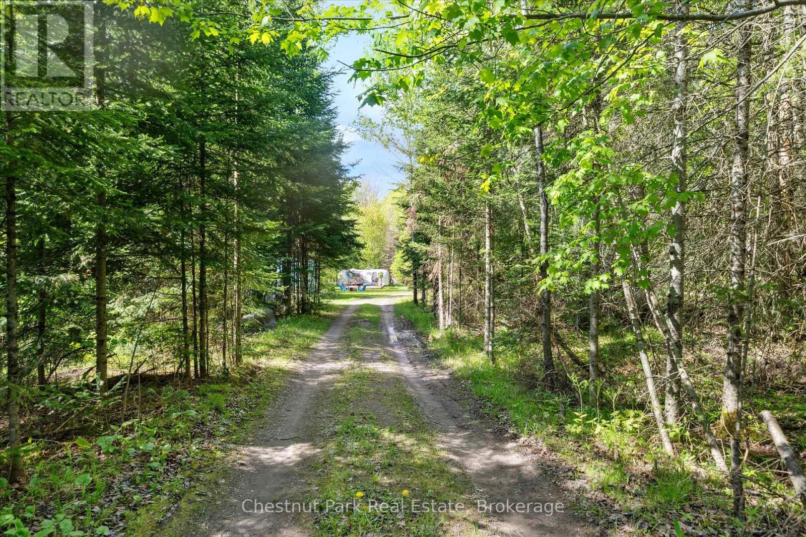 216 Blackwater Lake Road, Seguin, Ontario  P2A 0B6 - Photo 41 - X12189859