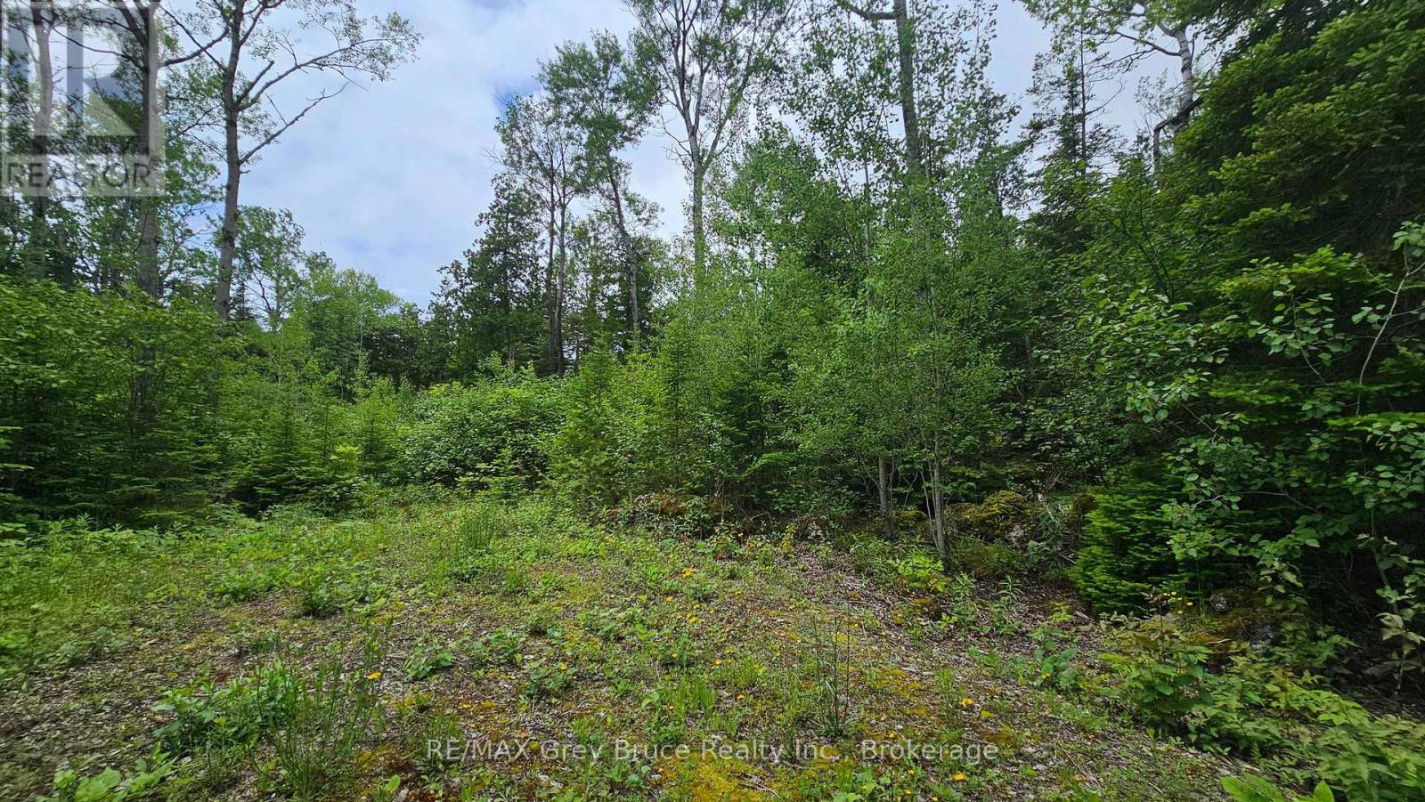 Pt Lt 35 Con 3 Wbr Hardwick Cove Road, Northern Bruce Peninsula, Ontario  N0H 1W0 - Photo 1 - X12190925