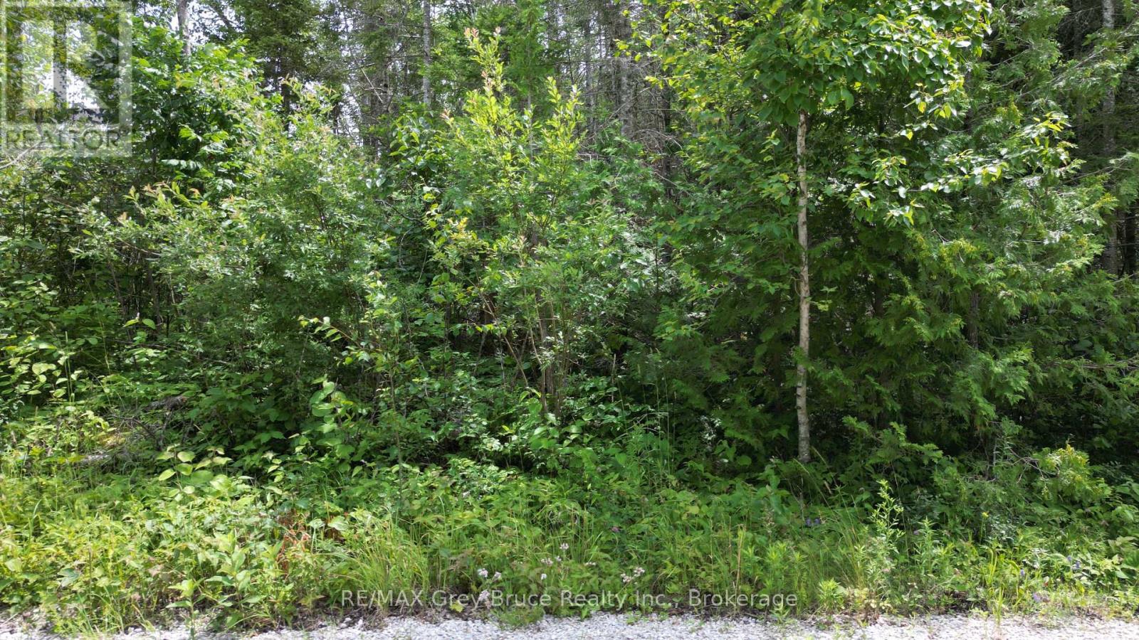 Pt Lt 35 Con 3 Wbr Hardwick Cove Road, Northern Bruce Peninsula, Ontario  N0H 1W0 - Photo 15 - X12190925