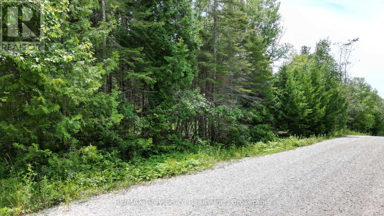 Pt Lt 35 Con 3 Wbr Hardwick Cove Road, Northern Bruce Peninsula, Ontario  N0H 1W0 - Photo 16 - X12190925
