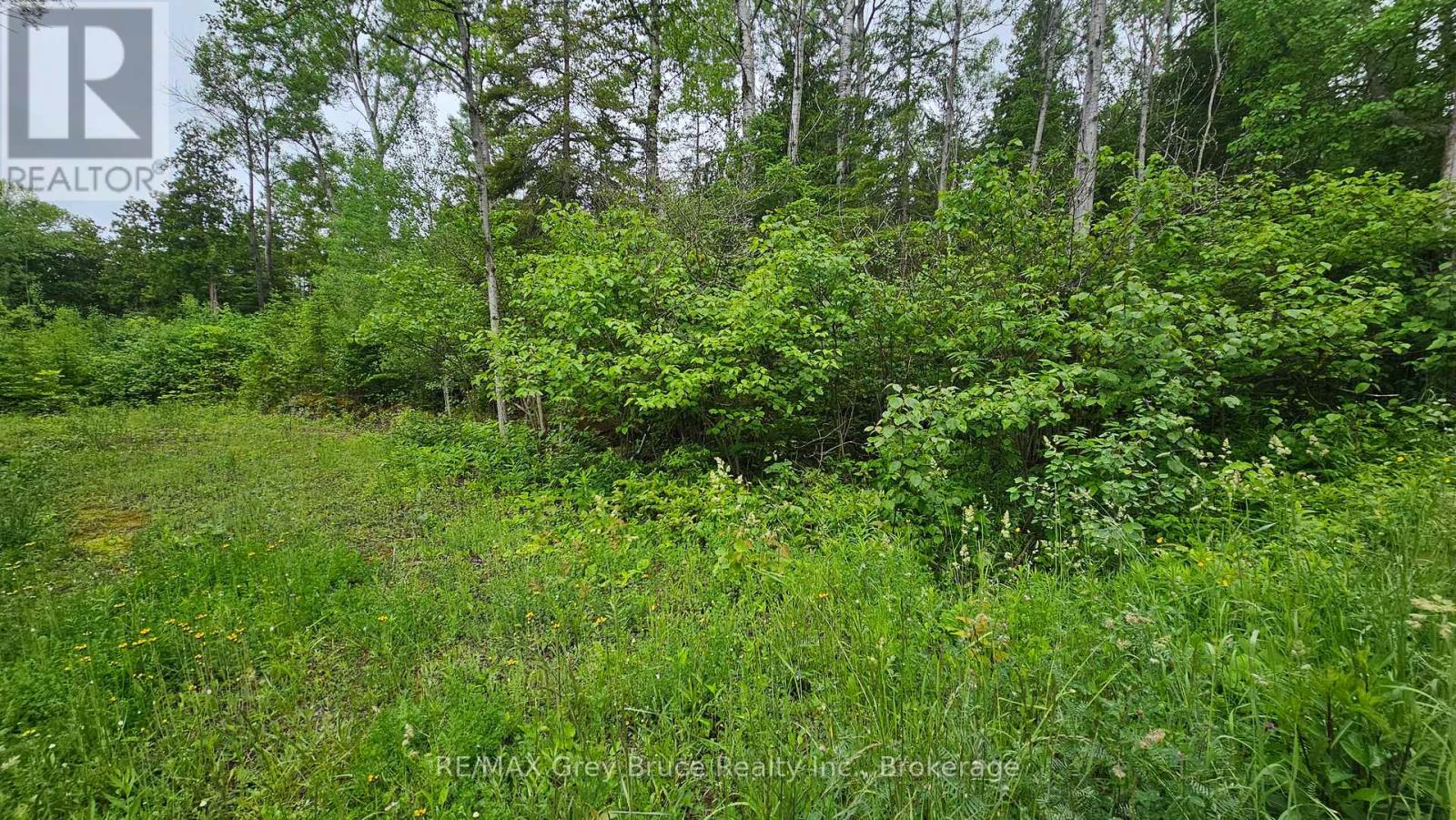 Pt Lt 35 Con 3 Wbr Hardwick Cove Road, Northern Bruce Peninsula, Ontario  N0H 1W0 - Photo 19 - X12190925