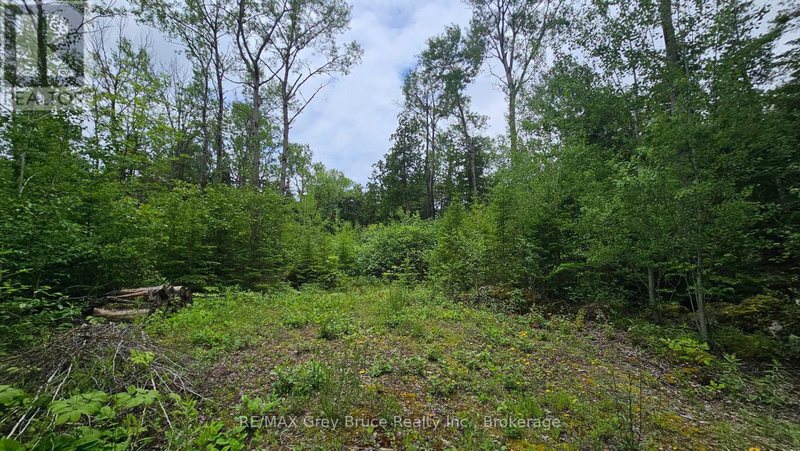 Pt Lt 35 Con 3 Wbr Hardwick Cove Road, Northern Bruce Peninsula, Ontario  N0H 1W0 - Photo 2 - X12190925
