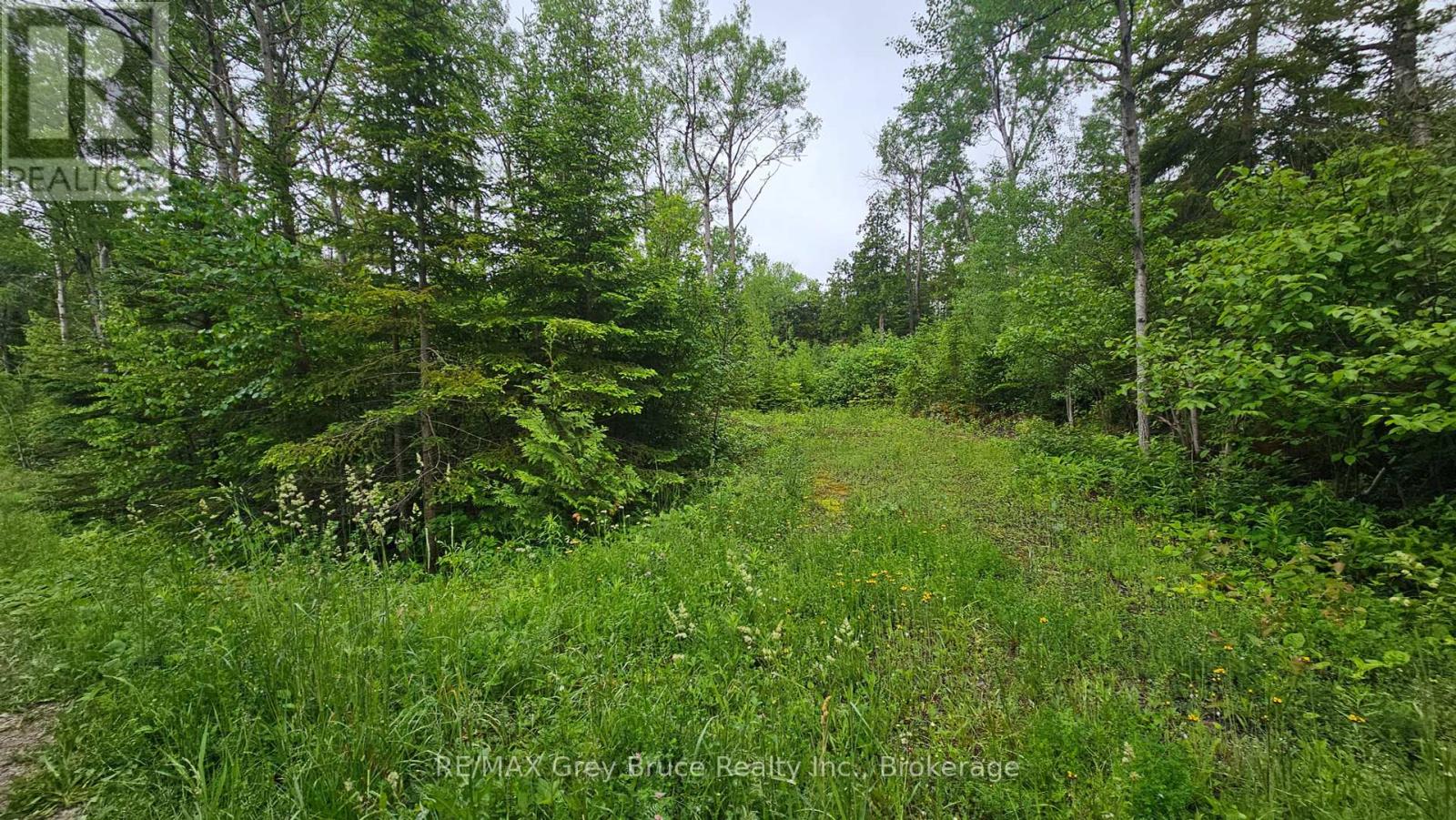 Pt Lt 35 Con 3 Wbr Hardwick Cove Road, Northern Bruce Peninsula, Ontario  N0H 1W0 - Photo 20 - X12190925