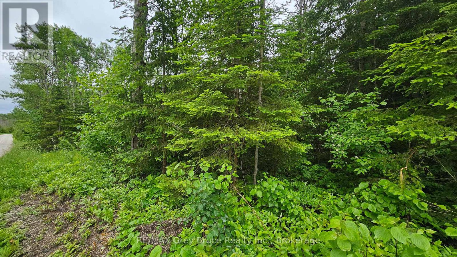 Pt Lt 35 Con 3 Wbr Hardwick Cove Road, Northern Bruce Peninsula, Ontario  N0H 1W0 - Photo 21 - X12190925