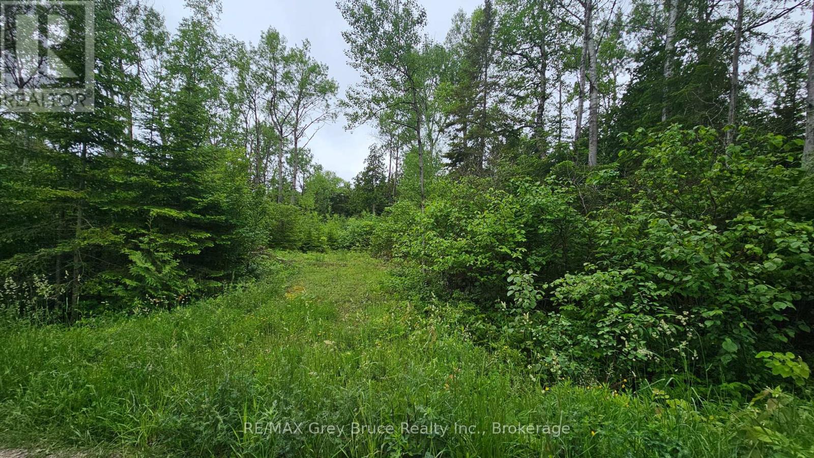 Pt Lt 35 Con 3 Wbr Hardwick Cove Road, Northern Bruce Peninsula, Ontario  N0H 1W0 - Photo 23 - X12190925