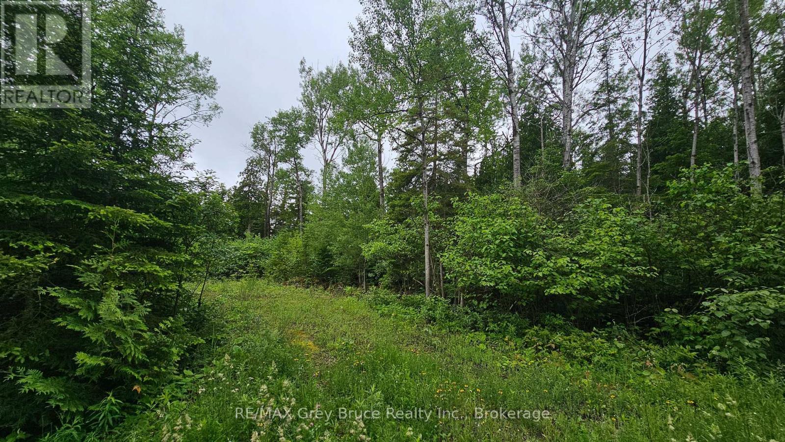 Pt Lt 35 Con 3 Wbr Hardwick Cove Road, Northern Bruce Peninsula, Ontario  N0H 1W0 - Photo 24 - X12190925