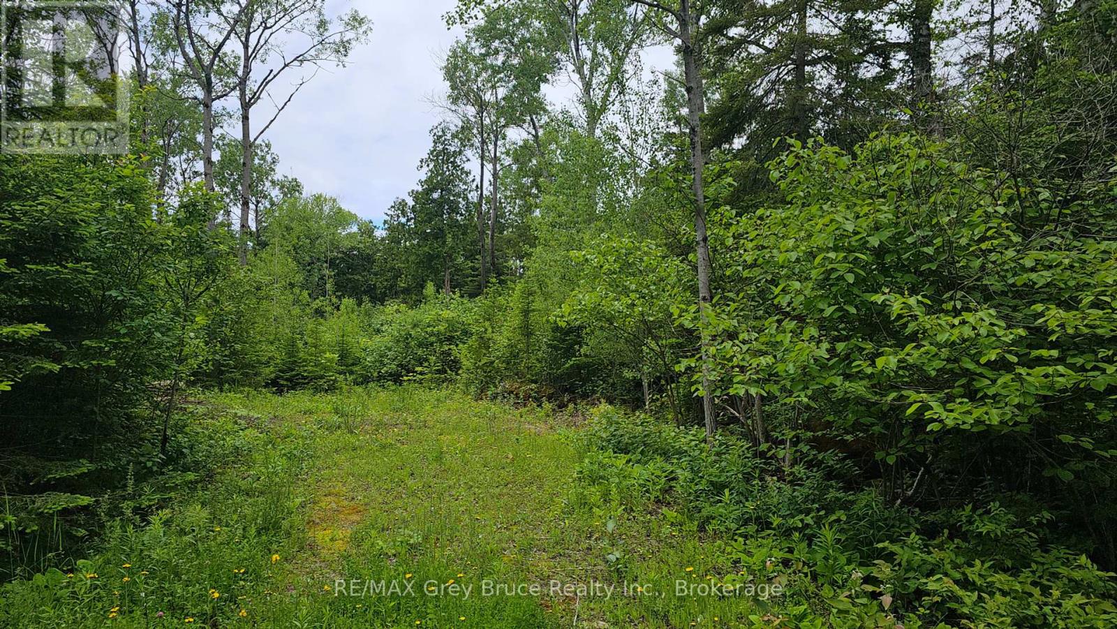 Pt Lt 35 Con 3 Wbr Hardwick Cove Road, Northern Bruce Peninsula, Ontario  N0H 1W0 - Photo 25 - X12190925