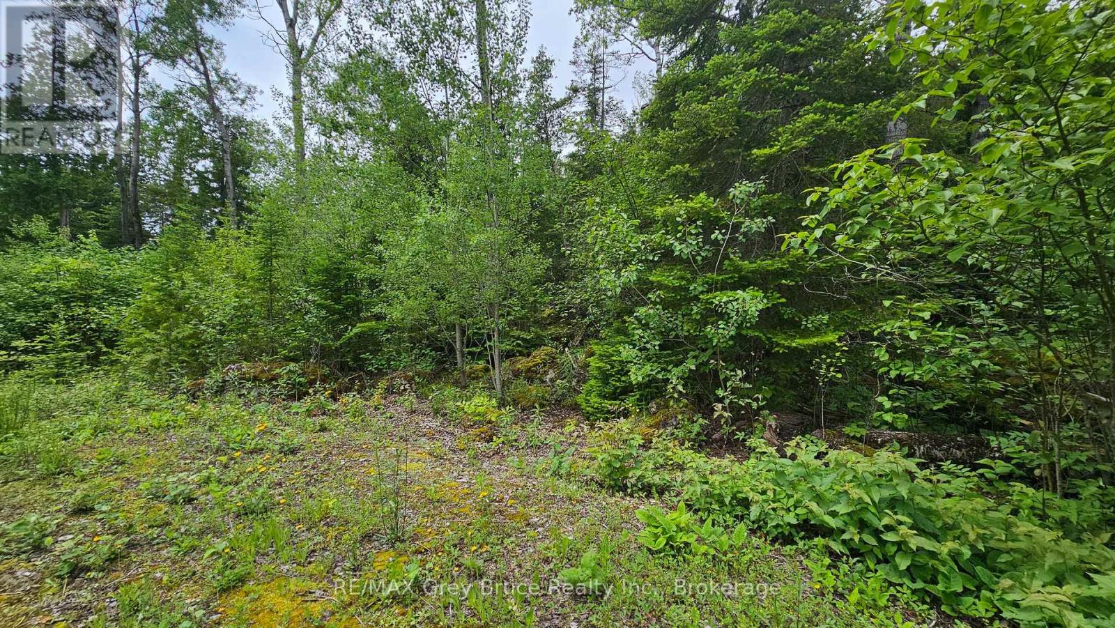 Pt Lt 35 Con 3 Wbr Hardwick Cove Road, Northern Bruce Peninsula, Ontario  N0H 1W0 - Photo 26 - X12190925