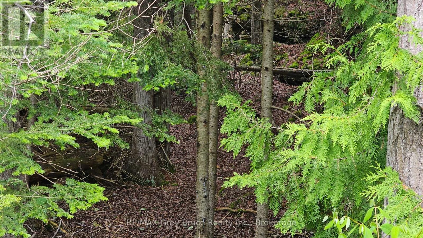 Pt Lt 35 Con 3 Wbr Hardwick Cove Road, Northern Bruce Peninsula, Ontario  N0H 1W0 - Photo 29 - X12190925