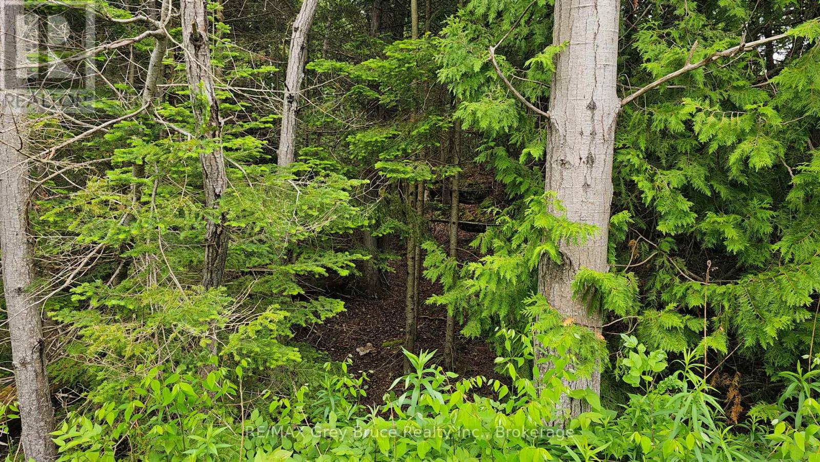 Pt Lt 35 Con 3 Wbr Hardwick Cove Road, Northern Bruce Peninsula, Ontario  N0H 1W0 - Photo 30 - X12190925