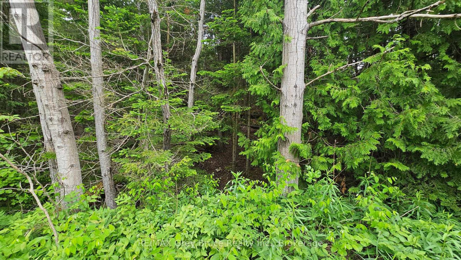 Pt Lt 35 Con 3 Wbr Hardwick Cove Road, Northern Bruce Peninsula, Ontario  N0H 1W0 - Photo 31 - X12190925