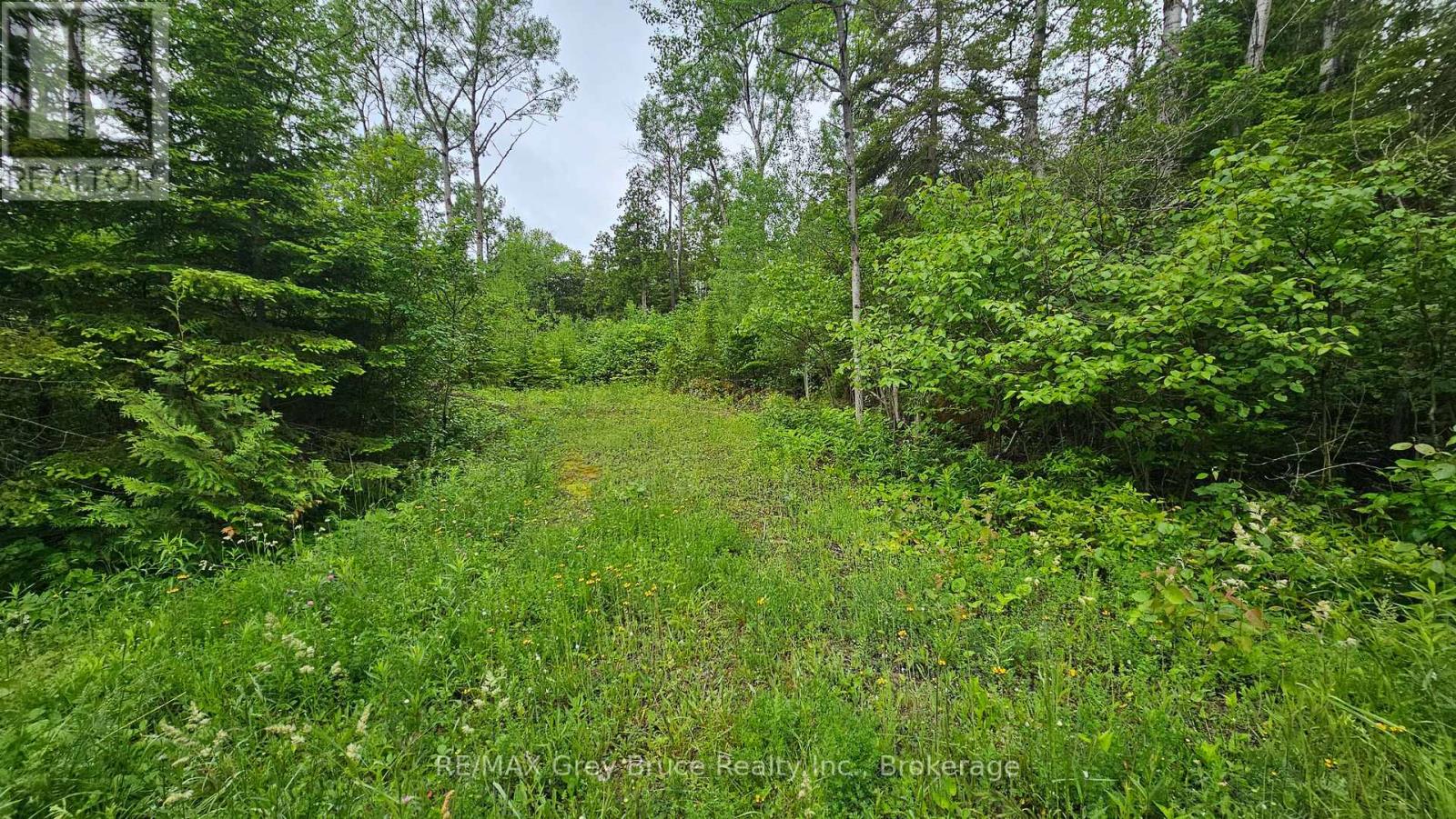Pt Lt 35 Con 3 Wbr Hardwick Cove Road, Northern Bruce Peninsula, Ontario  N0H 1W0 - Photo 32 - X12190925