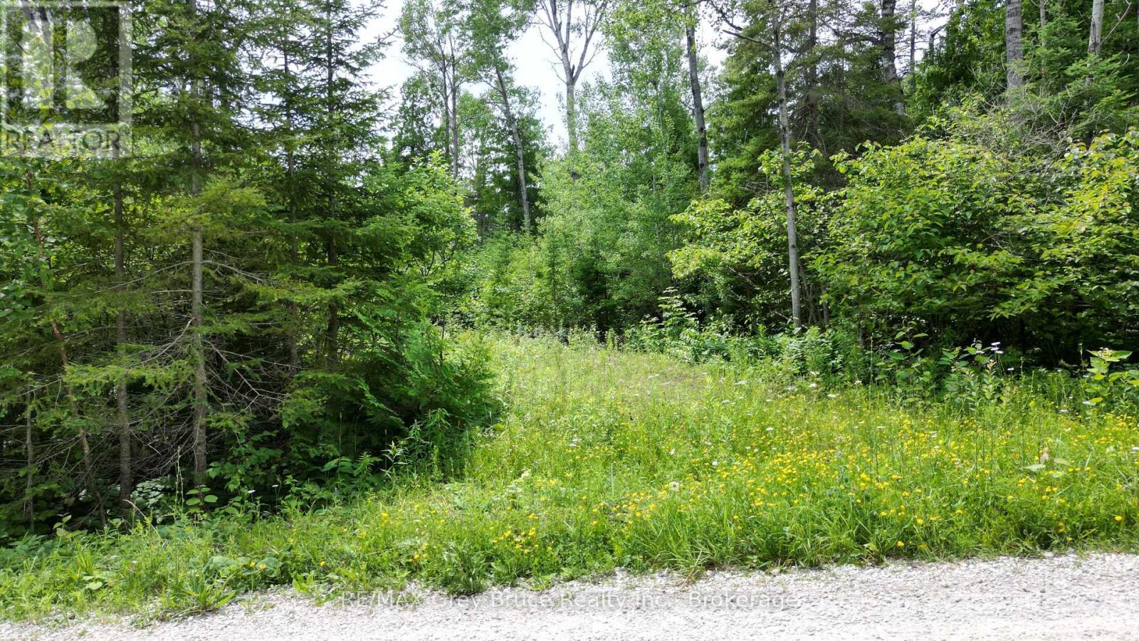 Pt Lt 35 Con 3 Wbr Hardwick Cove Road, Northern Bruce Peninsula, Ontario  N0H 1W0 - Photo 4 - X12190925