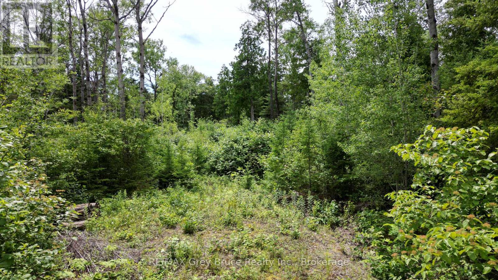 Pt Lt 35 Con 3 Wbr Hardwick Cove Road, Northern Bruce Peninsula, Ontario  N0H 1W0 - Photo 6 - X12190925