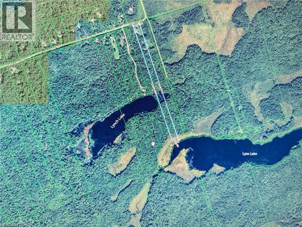 429-439 Lynx Lake Road, Huntsville, Ontario  P1H 2J3 - Photo 46 - 40736448