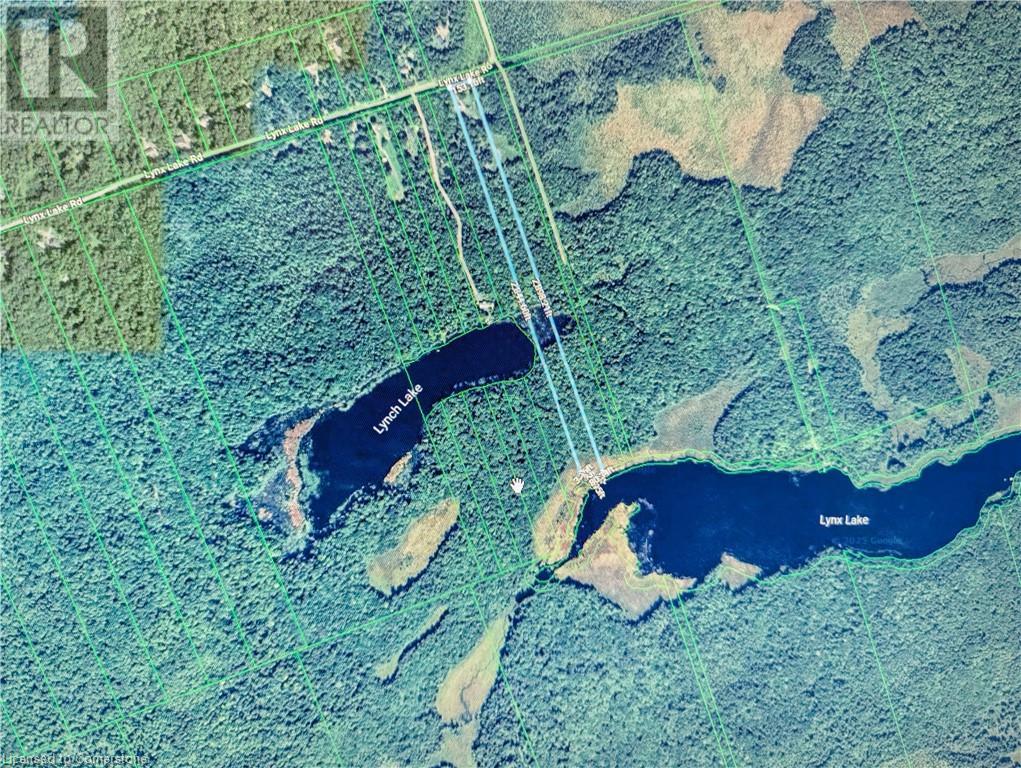 429-439 Lynx Lake Road, Huntsville, Ontario  P1H 2J3 - Photo 9 - 40736448
