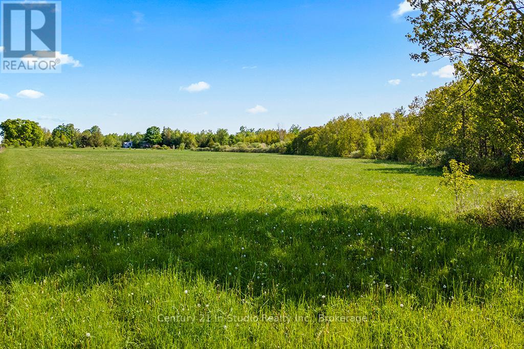 375533 6th Line, Amaranth, Ontario  L9V 1K8 - Photo 12 - X12191625
