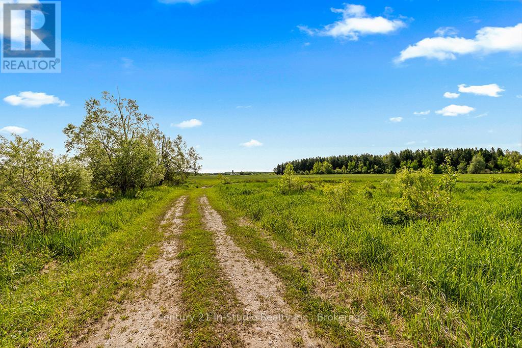 375533 6th Line, Amaranth, Ontario  L9V 1K8 - Photo 18 - X12191625