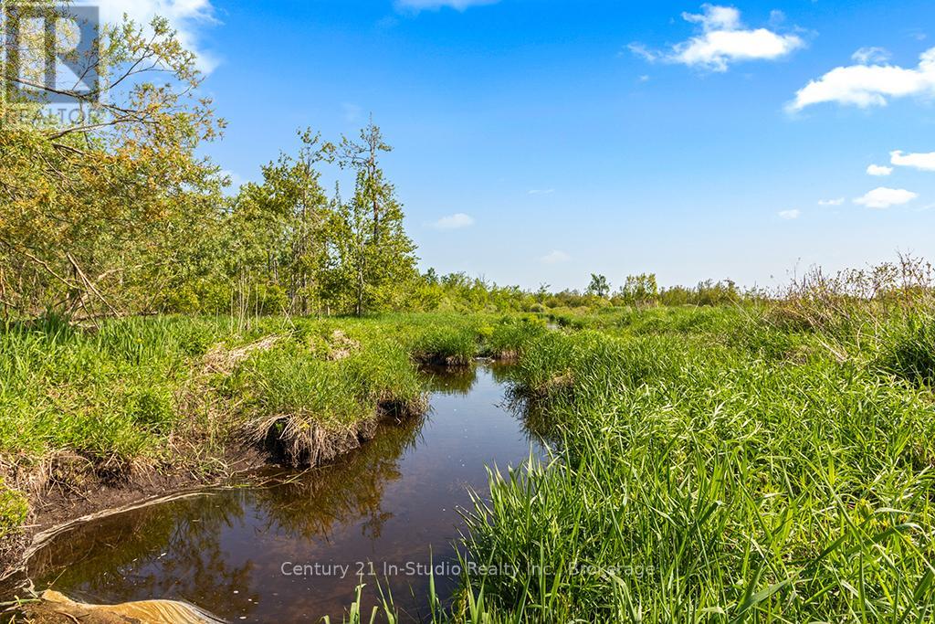 375533 6th Line, Amaranth, Ontario  L9V 1K8 - Photo 29 - X12191625