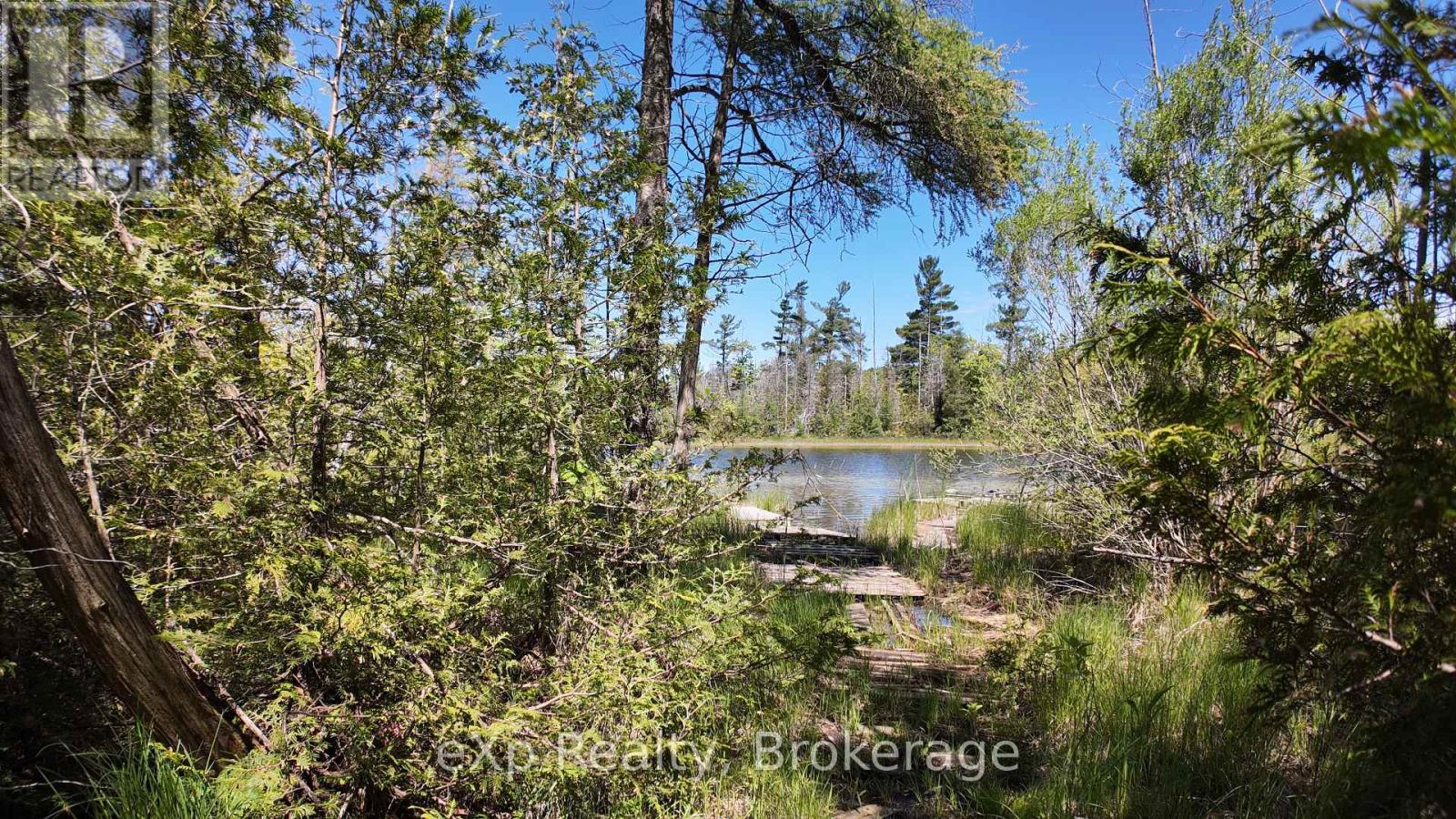Ptlt 17 Westfall Crescent, West Grey, Ontario  N0G 2J0 - Photo 13 - X12192115