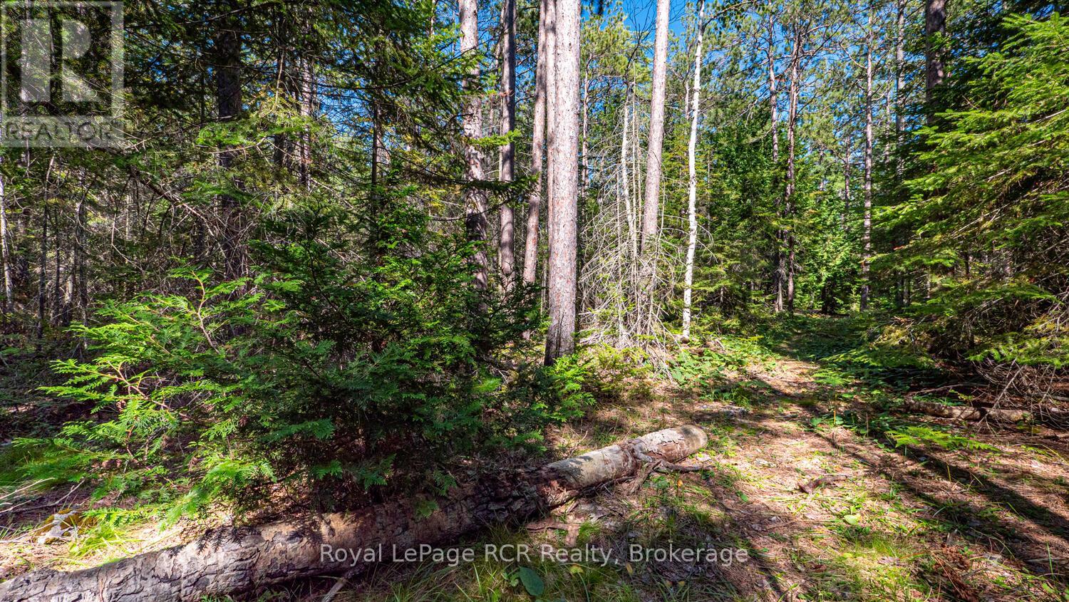 6313 Highway 6, Northern Bruce Peninsula, Ontario  N0H 2R0 - Photo 46 - X12193555