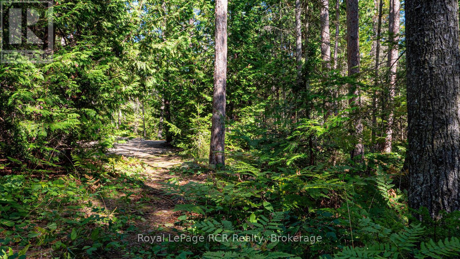 6313 Highway 6, Northern Bruce Peninsula, Ontario  N0H 2R0 - Photo 47 - X12193555