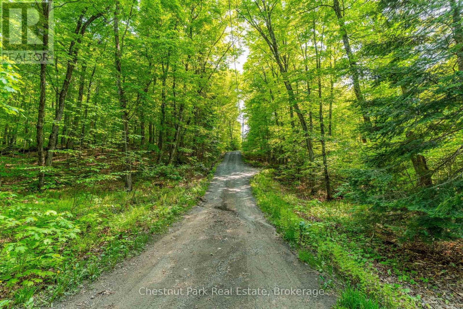 1089 Thumb Creek Trail, Algonquin Highlands, Ontario  P0A 1H0 - Photo 43 - X12194407
