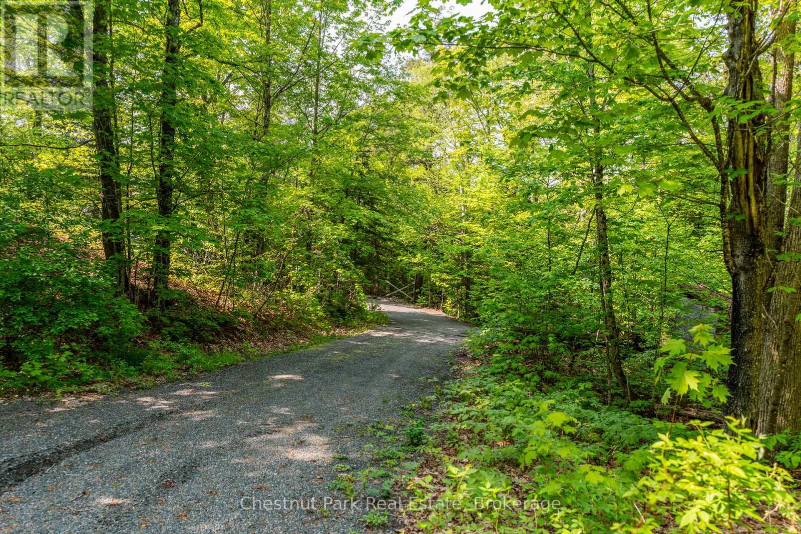 1089 Thumb Creek Trail, Algonquin Highlands, Ontario  P0A 1H0 - Photo 46 - X12194407
