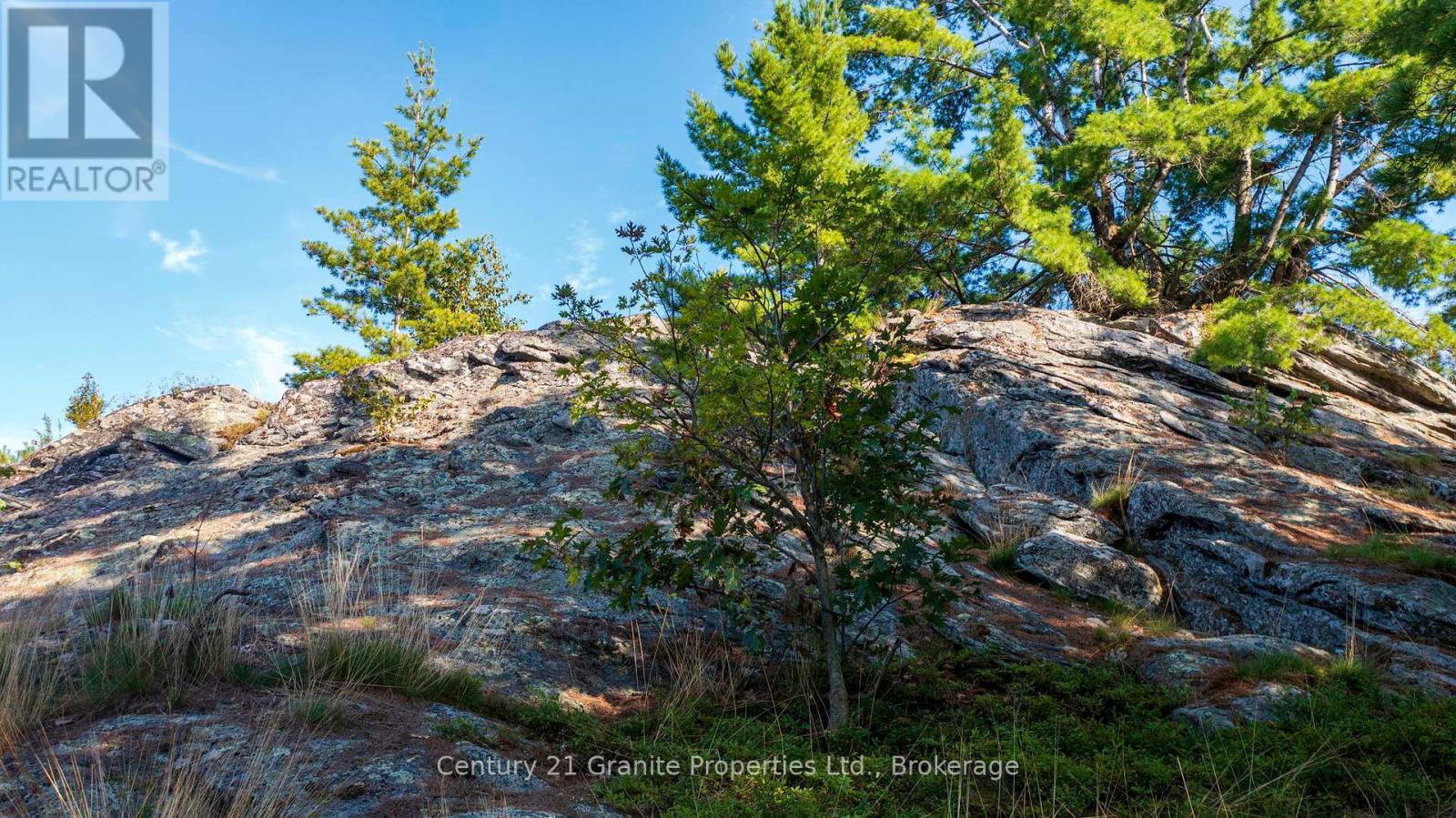 1 Partridge Island, Mcdougall, Ontario  P0G 1G0 - Photo 36 - X12194718